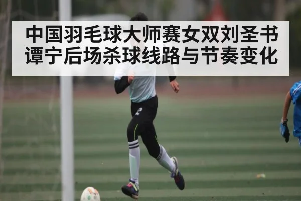 中国羽毛球大师赛女双刘圣书谭宁后场杀球线路与节奏变化